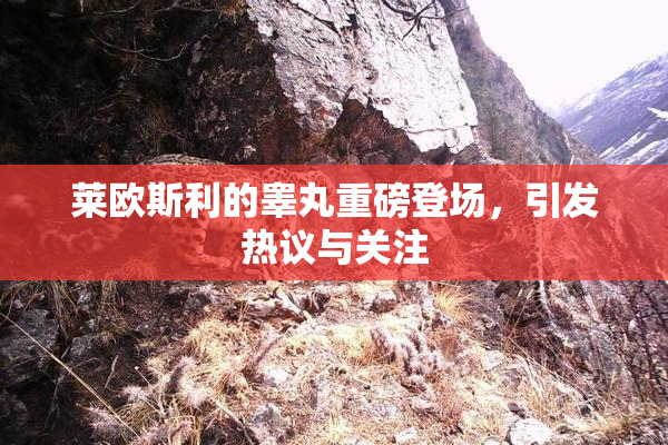 莱欧斯利的睾丸重磅登场，引发热议与关注