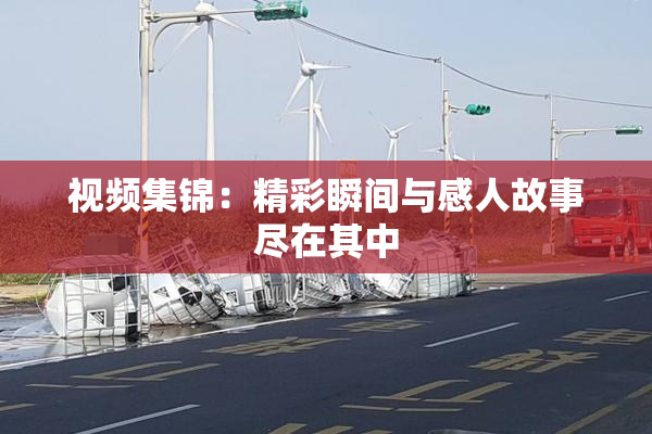 视频集锦：精彩瞬间与感人故事尽在其中