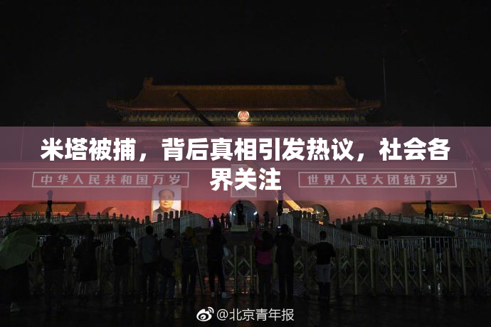 米塔被捕，背后真相引发热议，社会各界关注