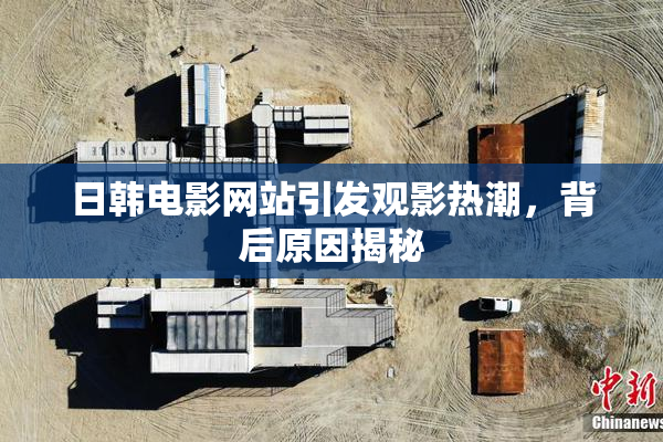 日韩电影网站引发观影热潮，背后原因揭秘