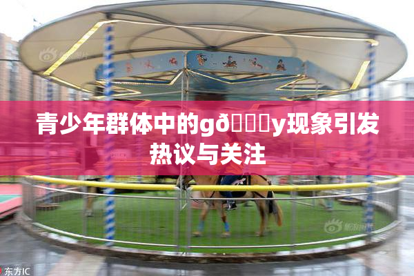 青少年群体中的g🈚y现象引发热议与关注