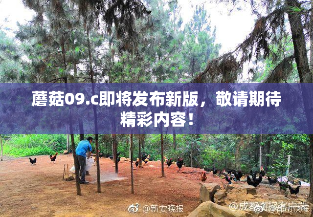 蘑菇09.c即将发布新版，敬请期待精彩内容！
