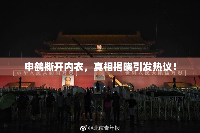 申鹤撕开内衣，真相揭晓引发热议！