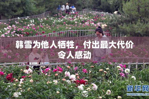 韩雪为他人牺牲，付出最大代价令人感动
