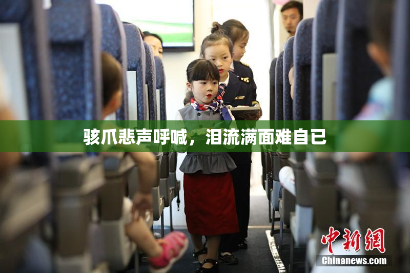 骇爪悲声呼喊，泪流满面难自已