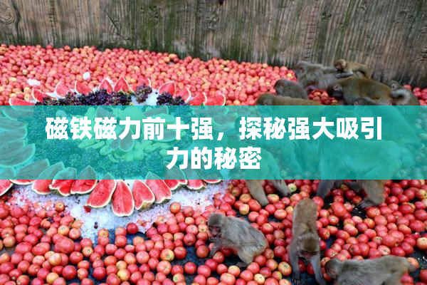磁铁磁力前十强，探秘强大吸引力的秘密