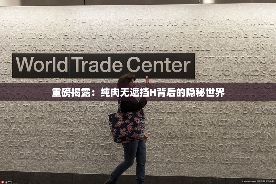 重磅揭露：纯肉无遮挡H背后的隐秘世界