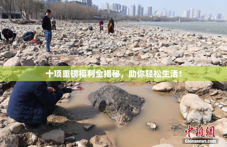 十项重磅福利全揭秘，助你轻松生活！