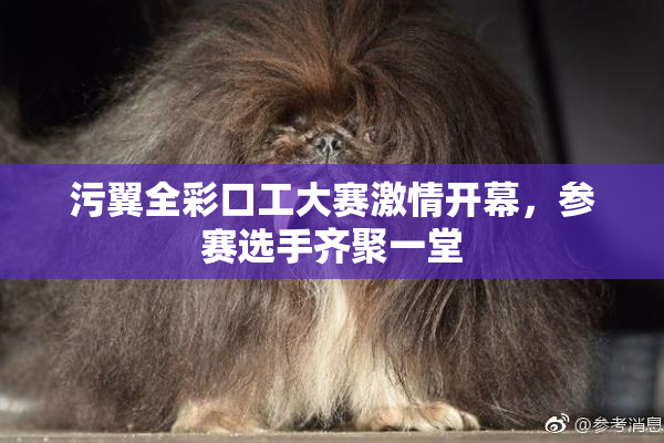 污翼全彩口工大赛激情开幕，参赛选手齐聚一堂