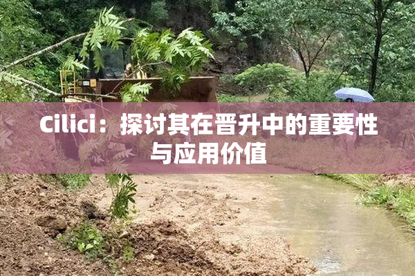 Cilici：探讨其在晋升中的重要性与应用价值