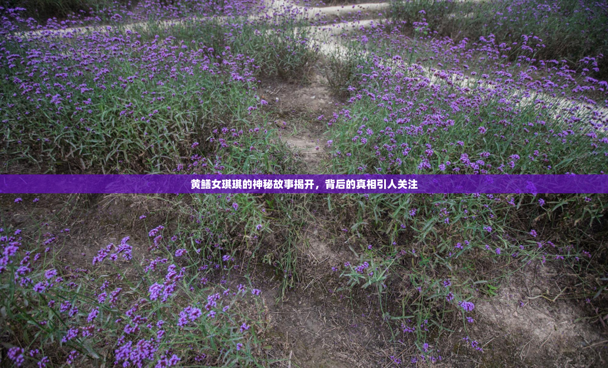 黄鳝女琪琪的神秘故事揭开，背后的真相引人关注