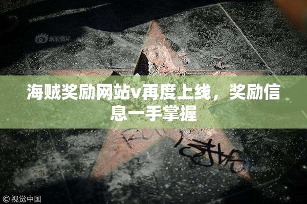 海贼奖励网站v再度上线，奖励信息一手掌握