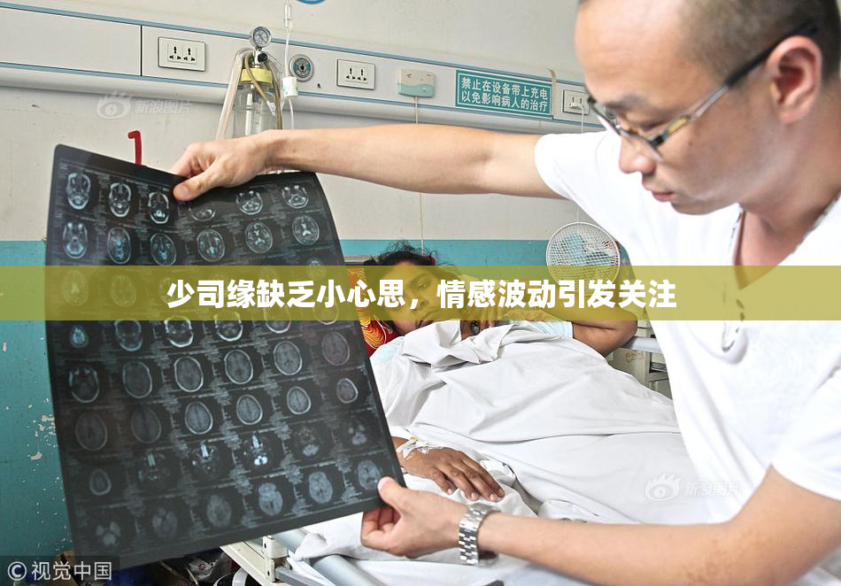 少司缘缺乏小心思，情感波动引发关注