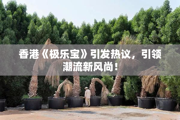香港《极乐宝》引发热议，引领潮流新风尚！