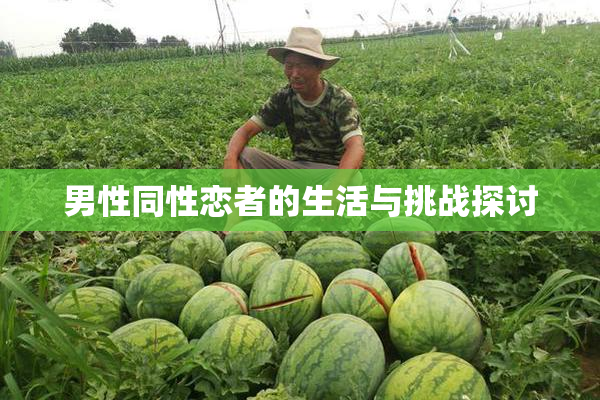 男性同性恋者的生活与挑战探讨