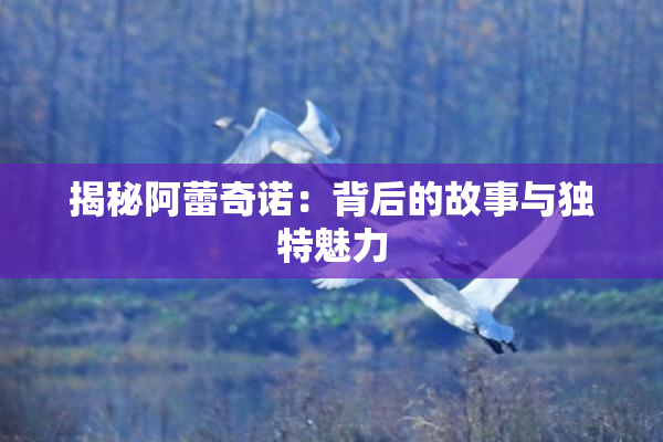 揭秘阿蕾奇诺：背后的故事与独特魅力