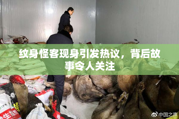 纹身怪客现身引发热议，背后故事令人关注