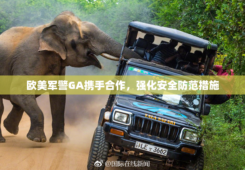 欧美军警GA携手合作，强化安全防范措施
