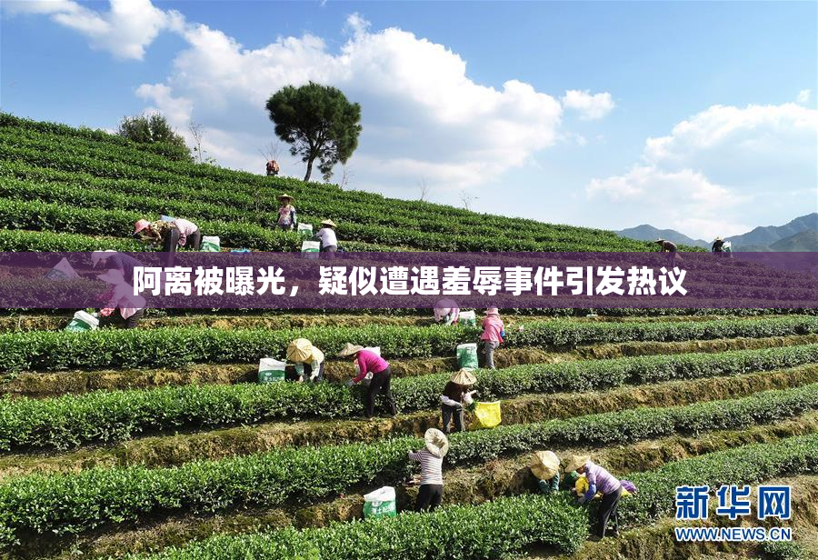 阿离被曝光，疑似遭遇羞辱事件引发热议
