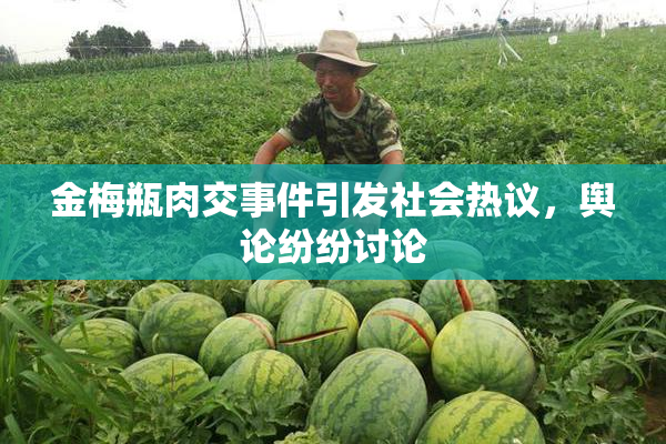 金梅瓶肉交事件引发社会热议，舆论纷纷讨论