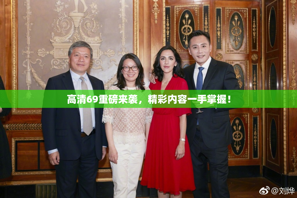 高清69重磅来袭，精彩内容一手掌握！