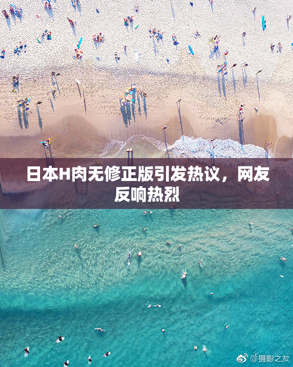 日本H肉无修正版引发热议，网友反响热烈