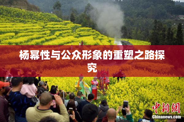 杨幂性与公众形象的重塑之路探究