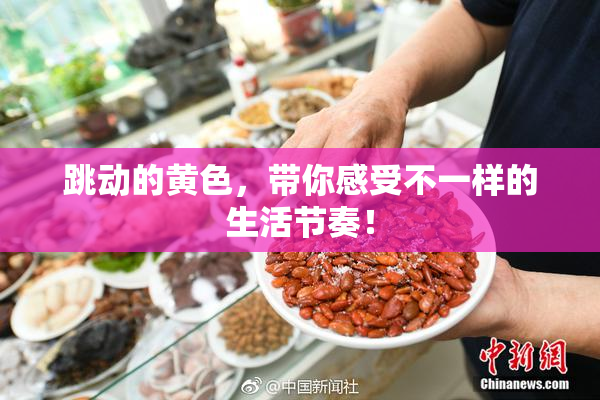 跳动的黄色，带你感受不一样的生活节奏！
