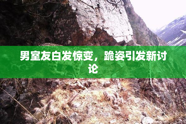 男室友白发惊变，跪姿引发新讨论