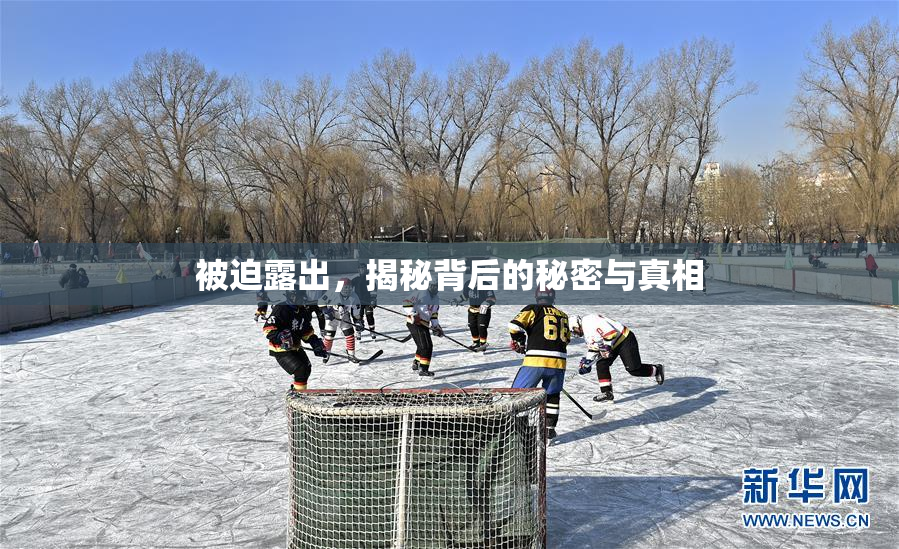 被迫露出，揭秘背后的秘密与真相