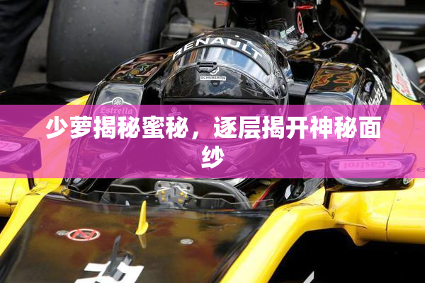 少萝揭秘蜜秘，逐层揭开神秘面纱