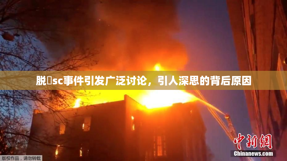 脱糞sc事件引发广泛讨论，引人深思的背后原因