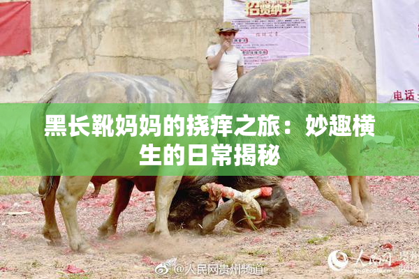 黑长靴妈妈的挠痒之旅：妙趣横生的日常揭秘
