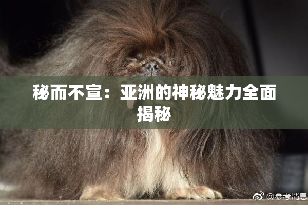 秘而不宣：亚洲的神秘魅力全面揭秘