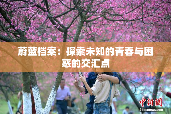 蔚蓝档案：探索未知的青春与困惑的交汇点