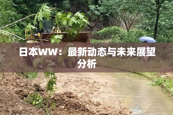 日本WW：最新动态与未来展望分析