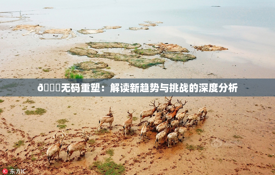 🔞无码重塑：解读新趋势与挑战的深度分析