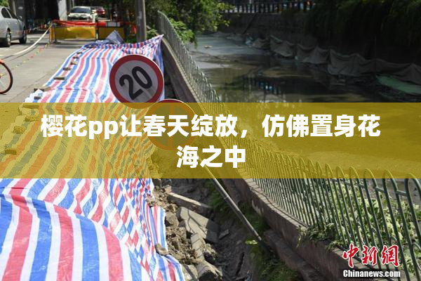 樱花pp让春天绽放，仿佛置身花海之中