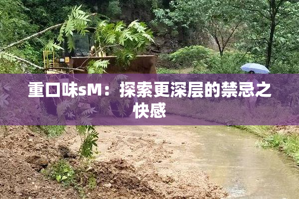 重口味sM：探索更深层的禁忌之快感