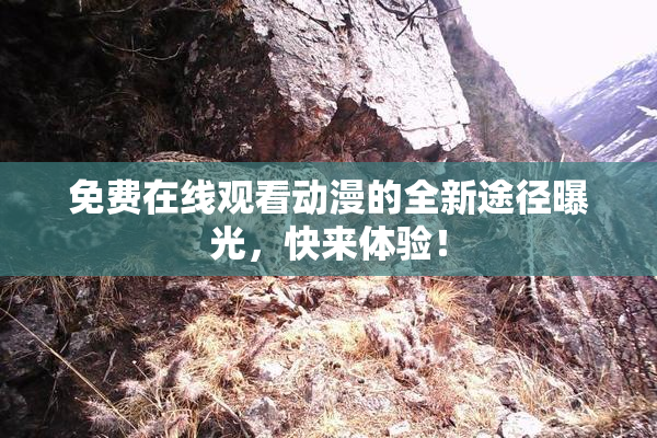 免费在线观看动漫的全新途径曝光，快来体验！