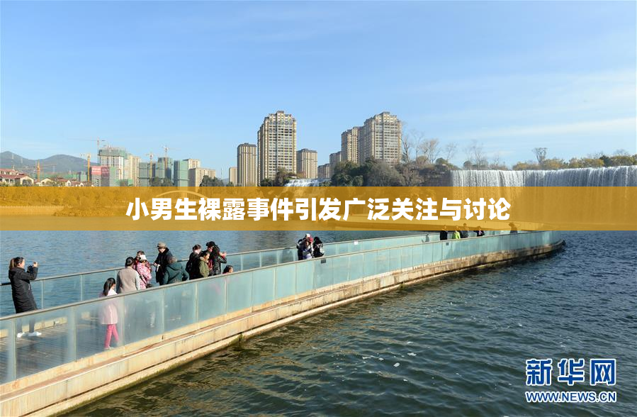 小男生裸露事件引发广泛关注与讨论
