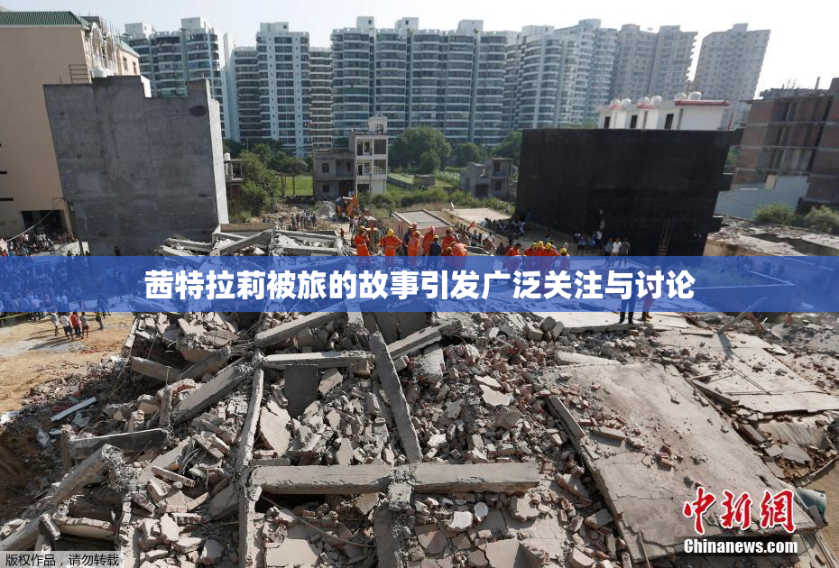 茜特拉莉被旅的故事引发广泛关注与讨论