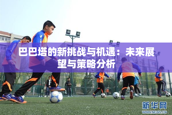 巴巴塔的新挑战与机遇：未来展望与策略分析