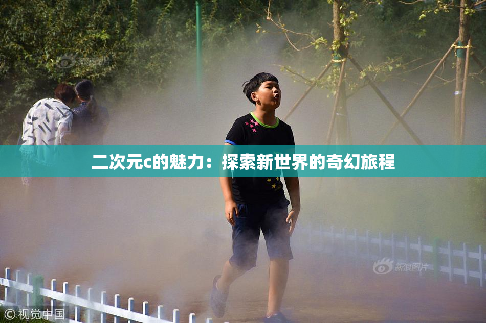 二次元c的魅力：探索新世界的奇幻旅程
