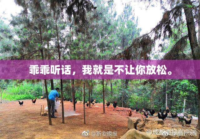乖乖听话，我就是不让你放松。