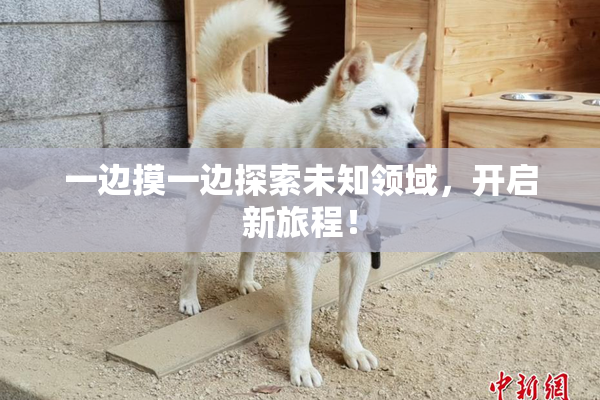 一边摸一边探索未知领域，开启新旅程！