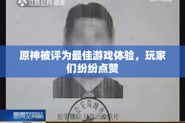原神被评为最佳游戏体验，玩家们纷纷点赞