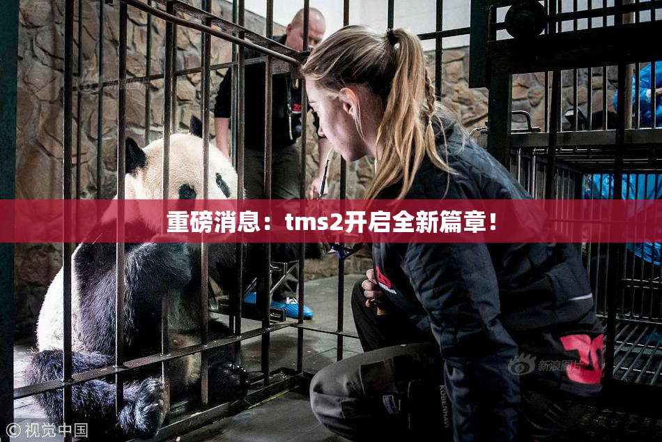 重磅消息：tms2开启全新篇章！