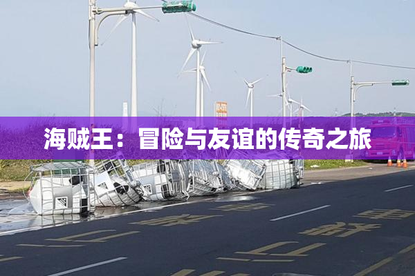海贼王：冒险与友谊的传奇之旅