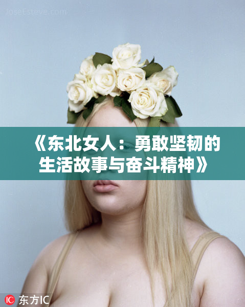 《东北女人：勇敢坚韧的生活故事与奋斗精神》